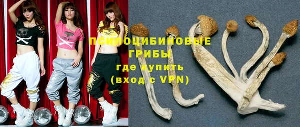 прущие крисы Абаза