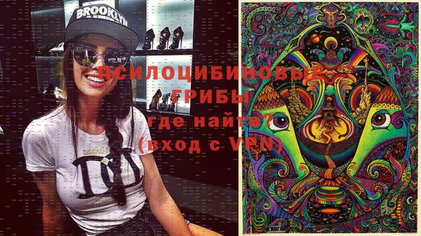 стафф Алексеевка