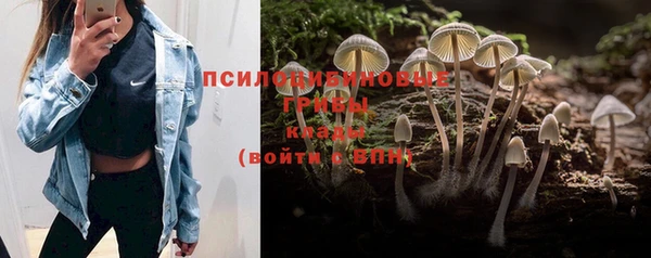 СК Абинск