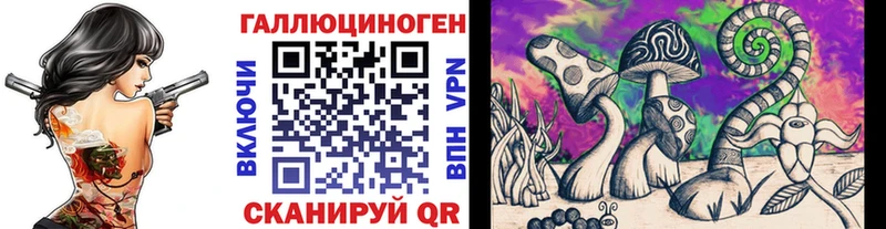 Псилоцибиновые грибы Psilocybe  магазин продажи   Щёлкино 